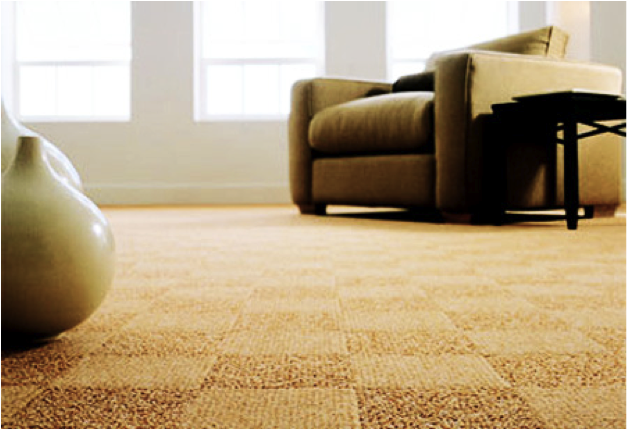 To Carpet or Not to Carpet: Our List of Pros and Cons - Cascade Built